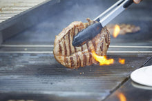 Load image into Gallery viewer, Synergy Grill Single Burner Grill